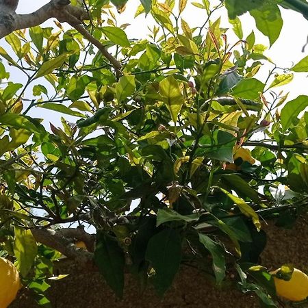 La Pica Marina Anacapri 아파트 외부 사진