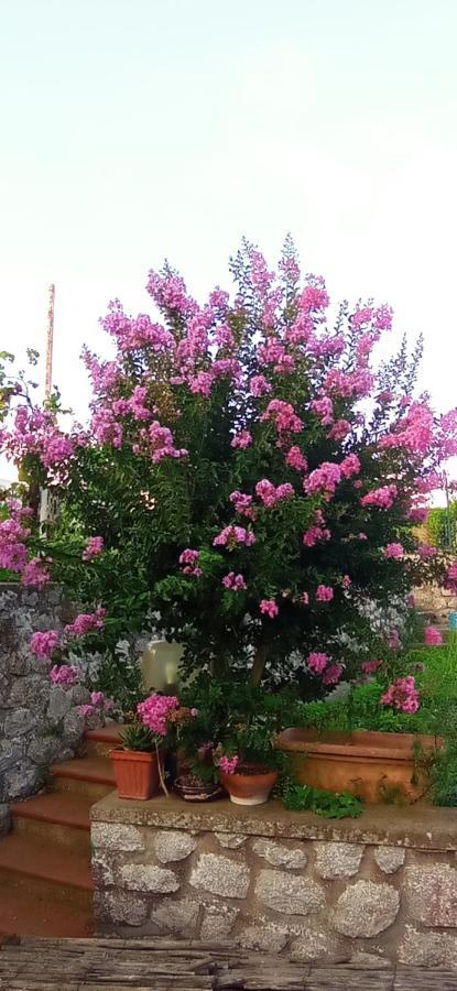 La Pica Marina Anacapri 아파트 외부 사진