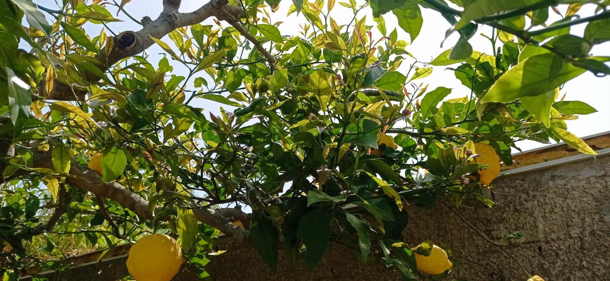 La Pica Marina Anacapri 아파트 외부 사진